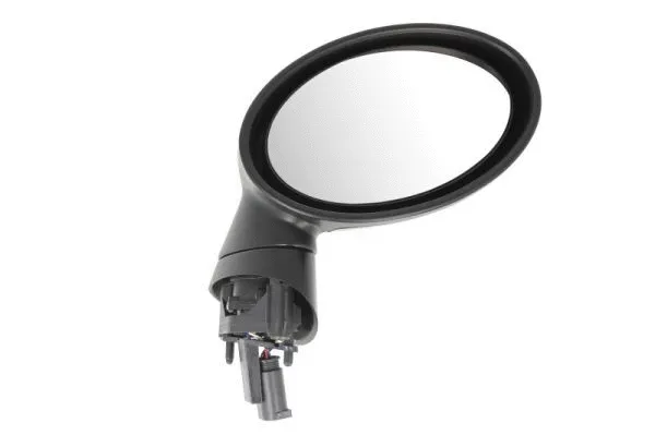 Exterior Mirror (5402-04-1139955P)