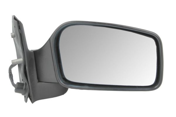 Exterior Mirror (5402-04-1131357)