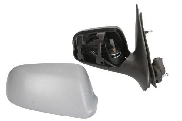 Exterior Mirror