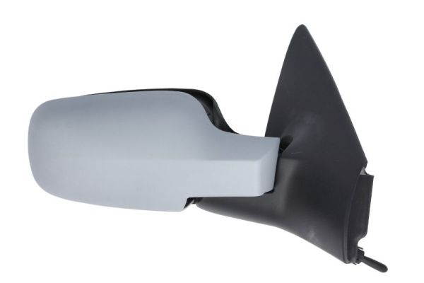 Exterior Mirror