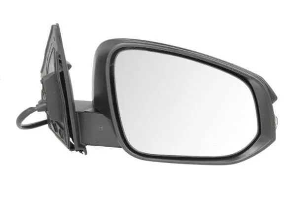 Exterior Mirror (5402-19-2002538P)