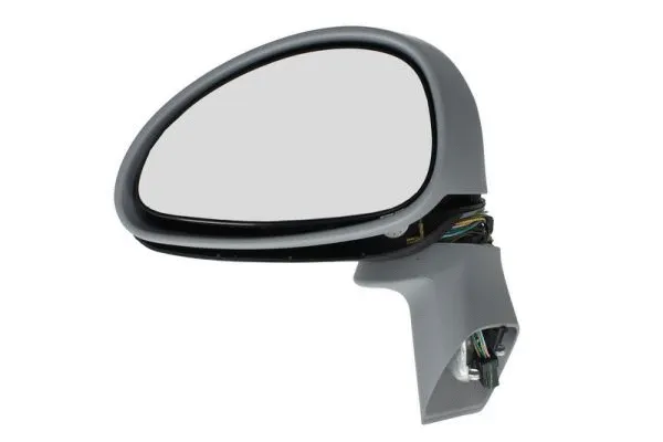 Exterior Mirror (5402-04-1127855P)