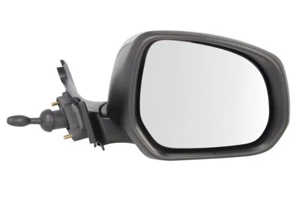 Exterior Mirror (5402-04-2001968P)