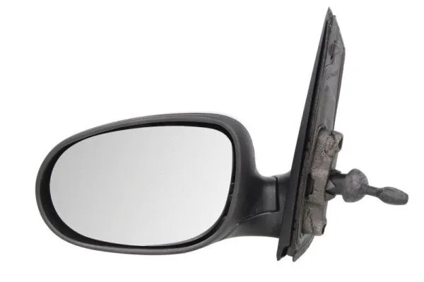 Exterior Mirror (5402-03-2001205P)