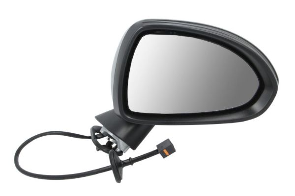 Exterior Mirror (5402-04-1122222P)