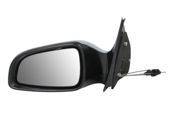 Exterior Mirror (5402-04-1137238P)