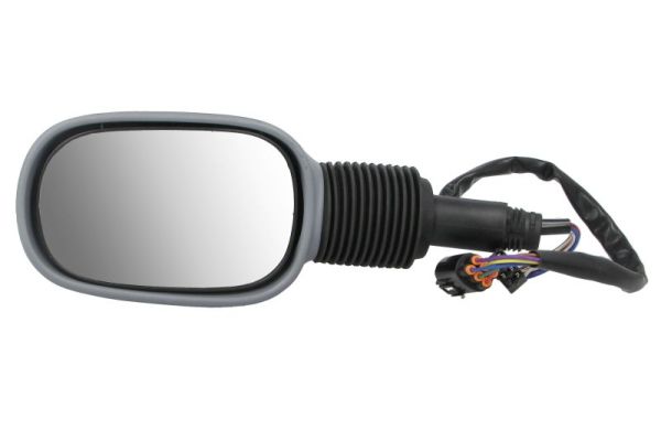 Exterior Mirror (5402-04-1139382P)