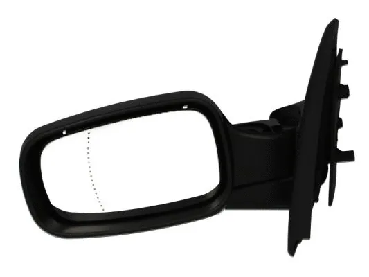 Exterior Mirror (5402-04-1125175P)
