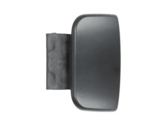 Exterior Door Handle (6010-21-015405P)