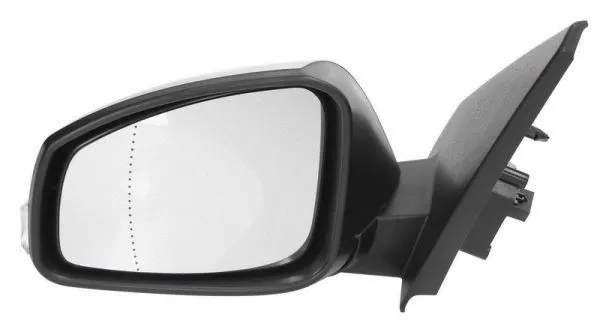 Exterior Mirror (5402-04-1121588P)
