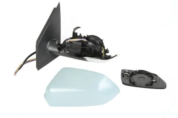 Exterior Mirror (5402-04-1113111P)
