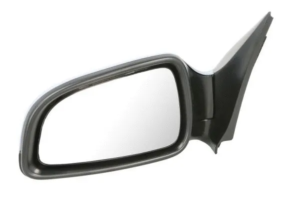 Exterior Mirror (5402-04-1139237P)