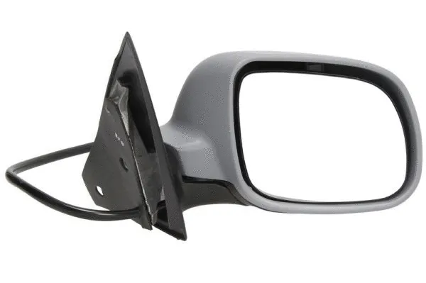 Exterior Mirror (5402-04-1339559P)