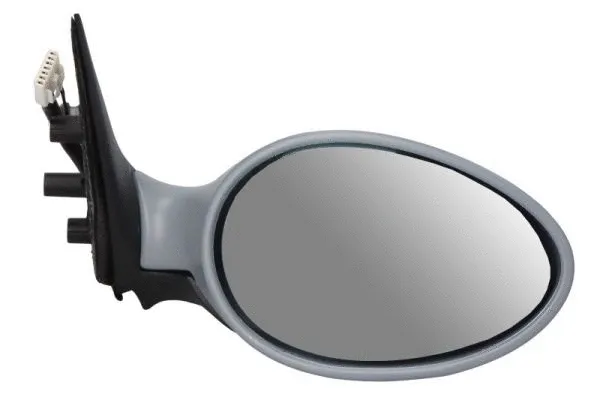 Exterior Mirror (5402-04-1129273)