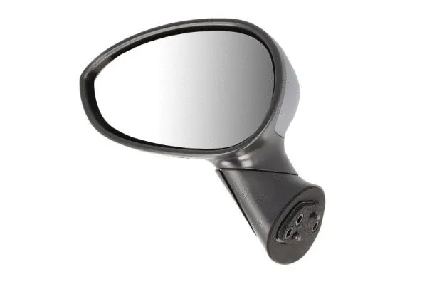Exterior Mirror (5402-04-1121933P)