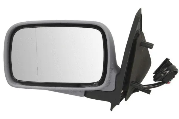 Exterior Mirror (5402-04-1125197P)