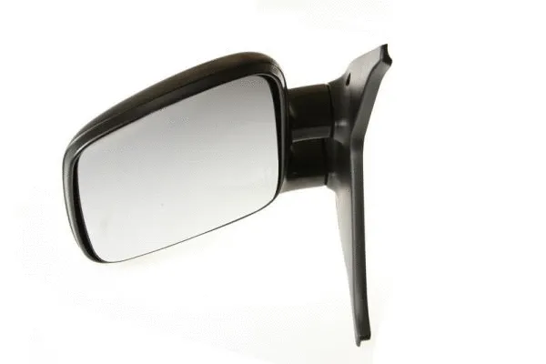 Exterior Mirror (5402-04-1191981)