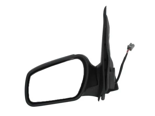 Exterior Mirror (5402-04-1129393)