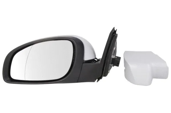 Exterior Mirror (5402-04-2002019P)