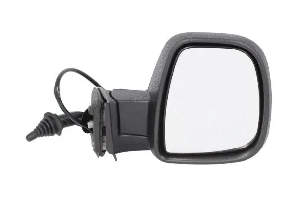 Exterior Mirror (5402-04-9212988P)