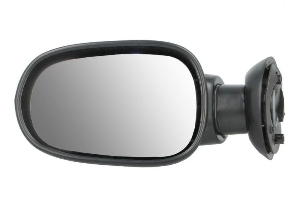 Exterior Mirror (5402-04-1199599P)