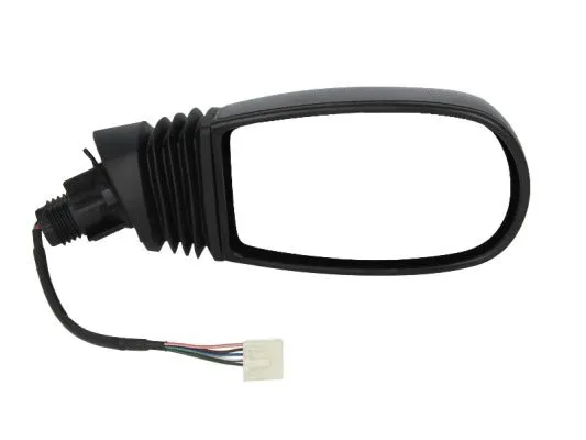 Exterior Mirror (5402-04-1128329)