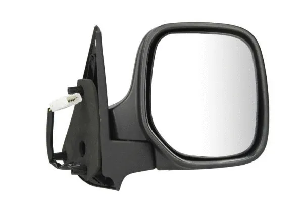 Exterior Mirror (5402-04-9228972)