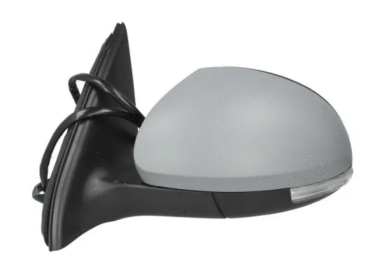 Exterior Mirror