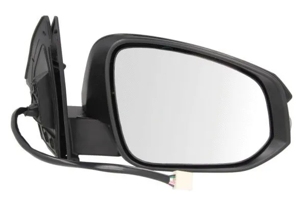 Exterior Mirror (5402-19-2002540P)