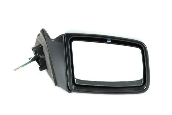Exterior Mirror (5402-04-1115235P)