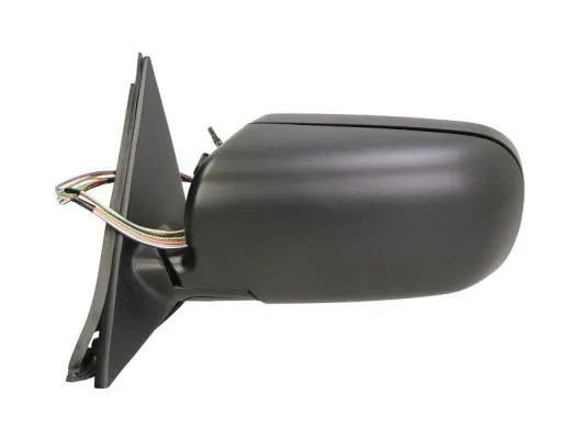 Exterior Mirror (5402-04-1125825)