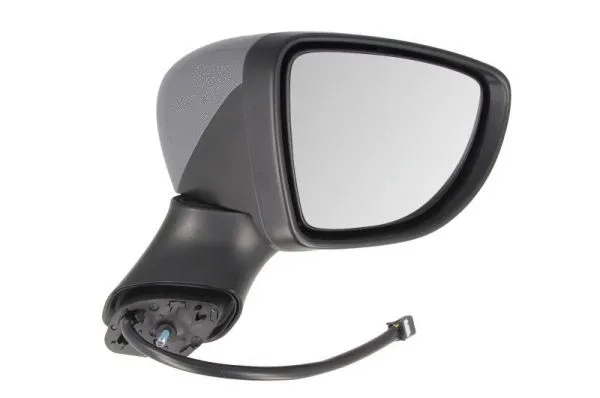 Exterior Mirror (5402-09-2002130P)