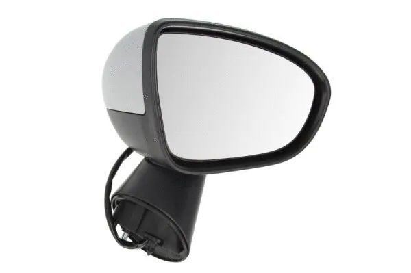 Exterior Mirror (5402-04-2002004P)