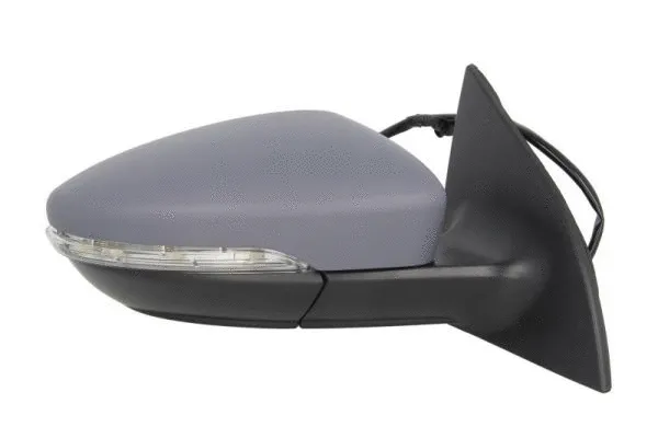 Exterior Mirror