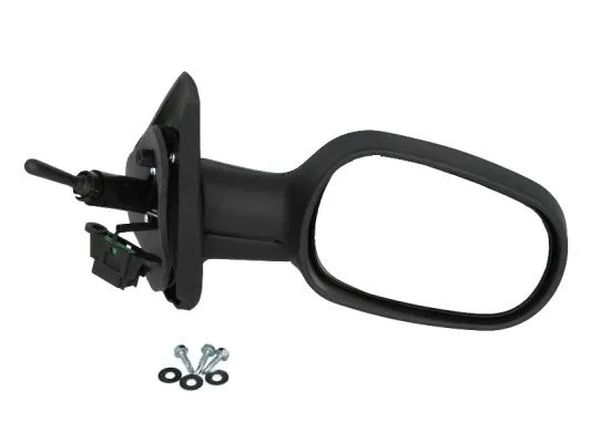 Exterior Mirror (5402-04-1132219P)