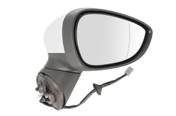 Exterior Mirror (5402-03-2001180P)