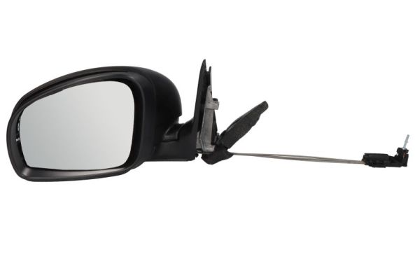 Exterior Mirror (5402-04-1125559P)