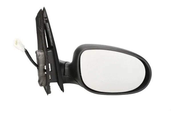 Exterior Mirror (5402-03-2001208P)