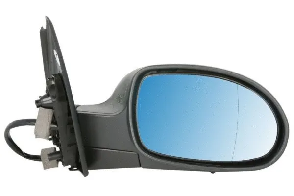 Exterior Mirror (5402-04-1121852P)