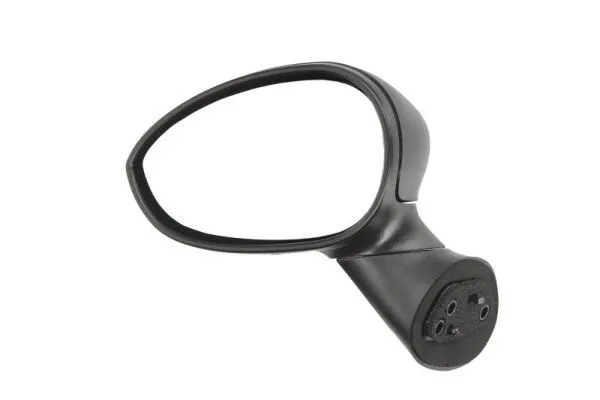 Exterior Mirror (5402-04-1121929P)