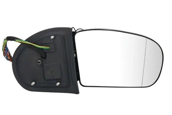Exterior Mirror (5402-04-1339791)
