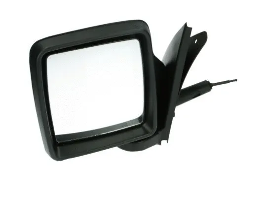 Exterior Mirror (5402-04-9212221P)