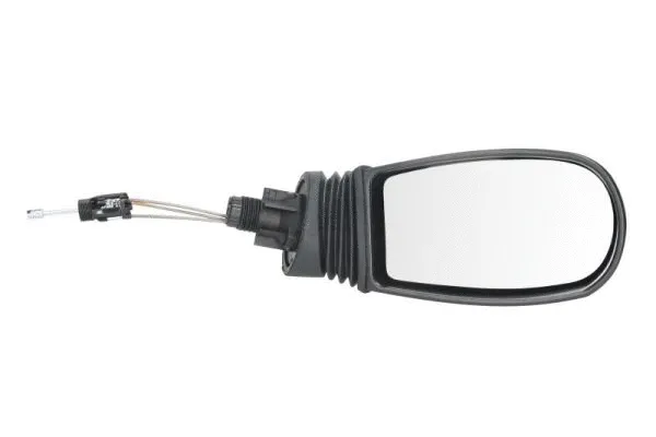 Exterior Mirror (5402-04-1111329P)