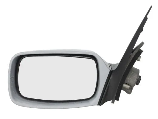 Exterior Mirror (5402-04-1137299)