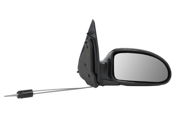 Exterior Mirror (5402-04-1138399P)