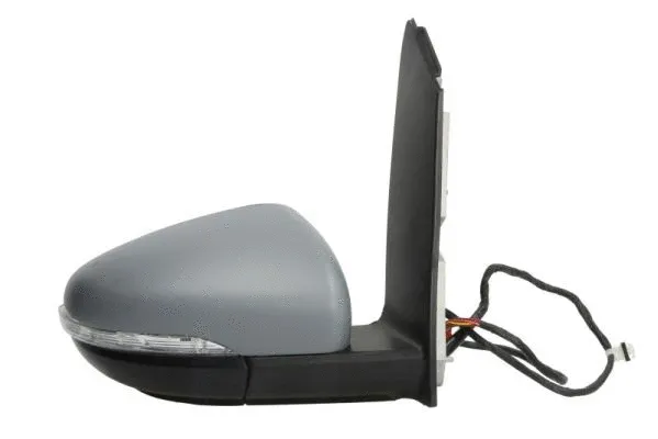 Exterior Mirror