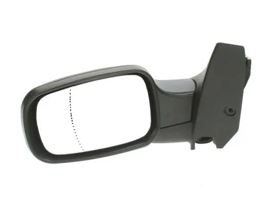 Exterior Mirror (5402-04-1139224P)