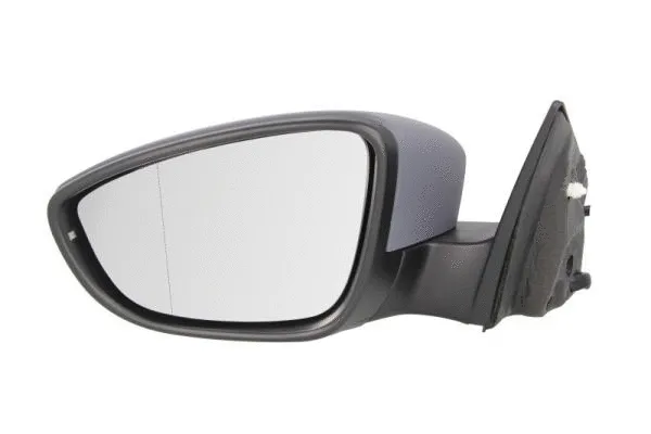 Exterior Mirror (5402-01-2002691P)