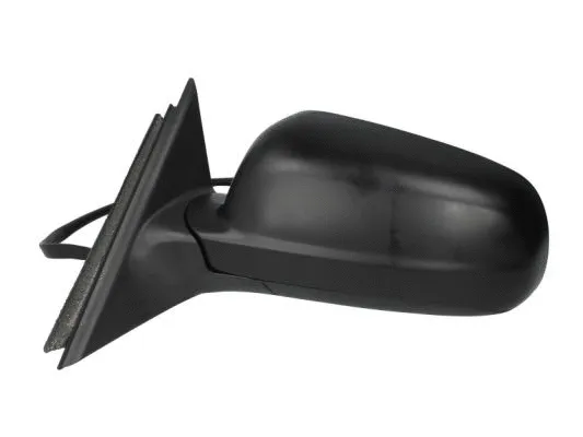 Exterior Mirror (5402-04-1125111)