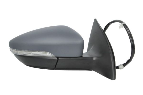 Exterior Mirror